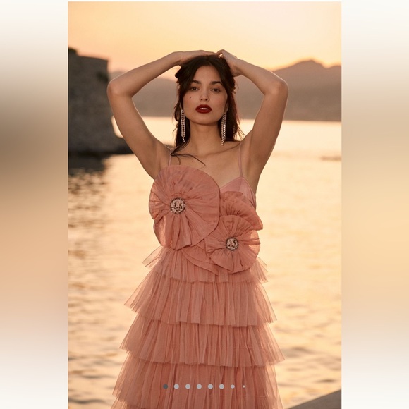 Dresses & Skirts - Anthropologie Kavita Bhartia Rosette Tiered Pink Tulle Gown 16W